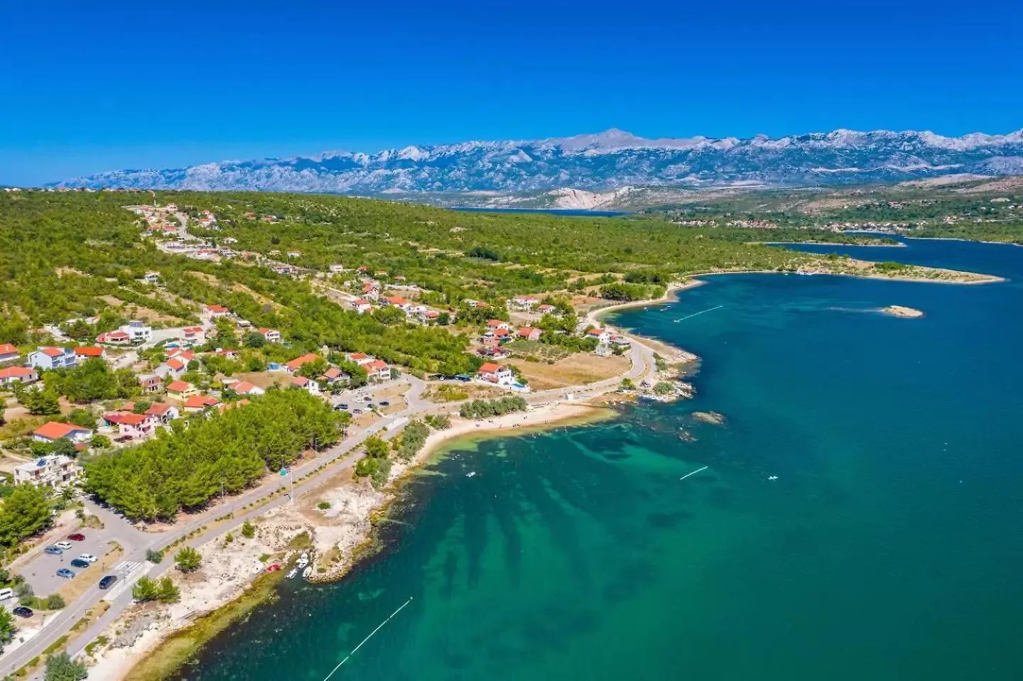 Cherry Pridraga Croatia